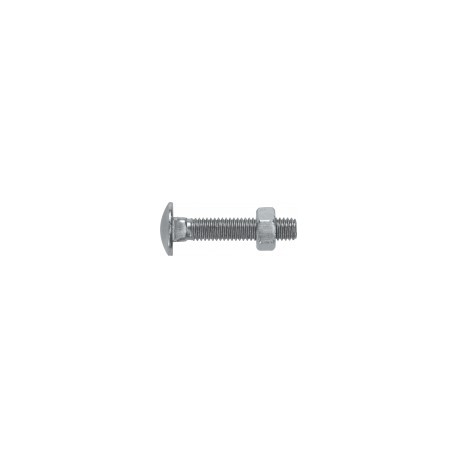 Coach Bolts with Steel Nuts, M10 X 40 (Pack of 50)
