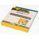 Mirka P120G 70 x 125mm Abranet Strips (Pack of 10) - by Grove