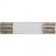 Glass Fuse, 10A (Pack of 100).