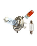 Bulbs